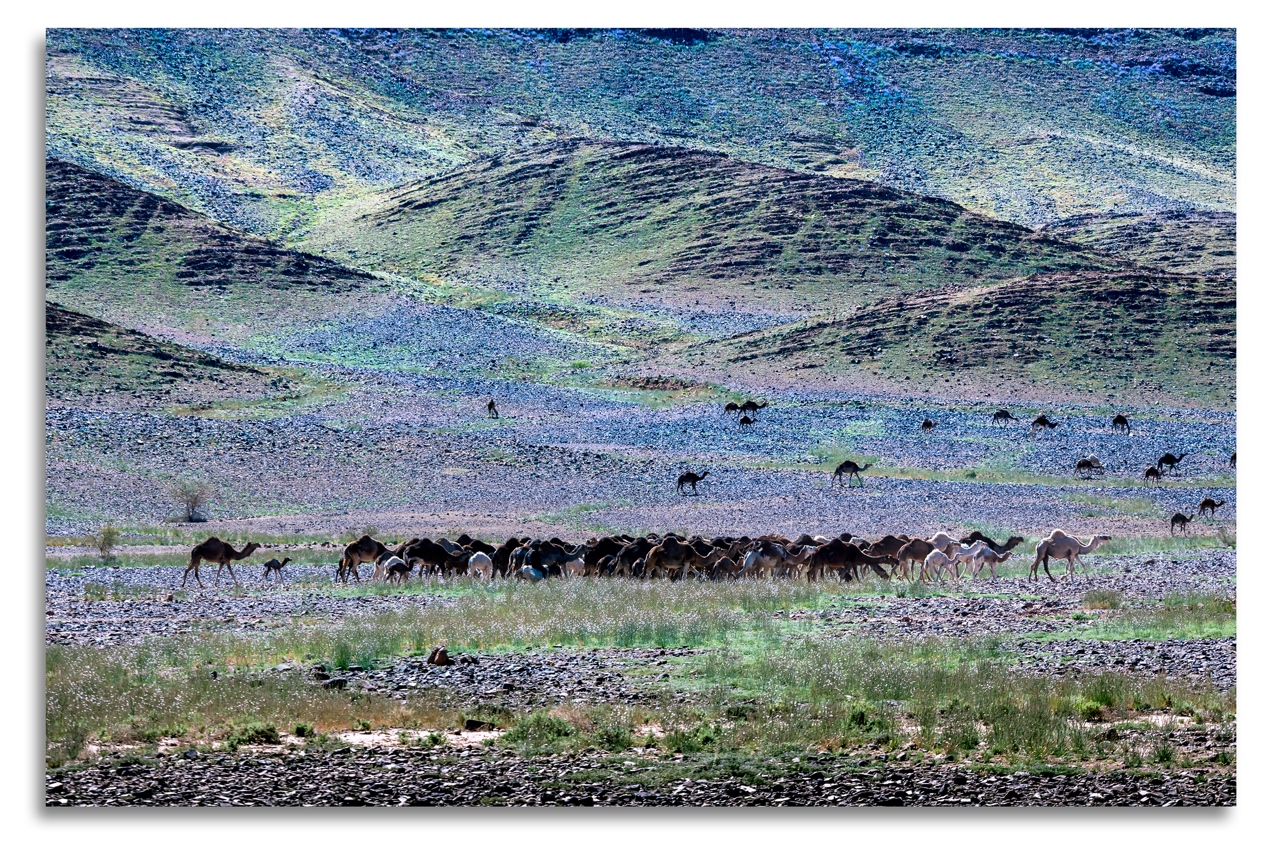 Diny en Rogier, Rotterdam