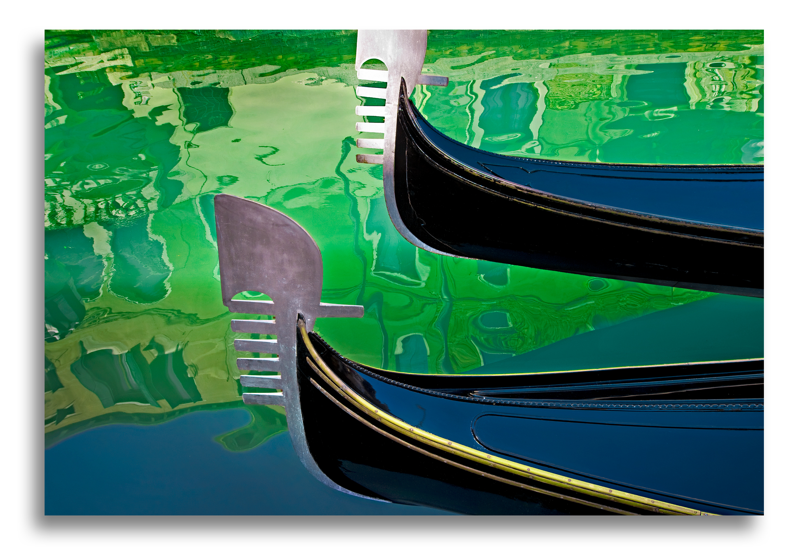 Diny en Rogier, Rotterdam